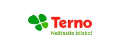 Terno logo